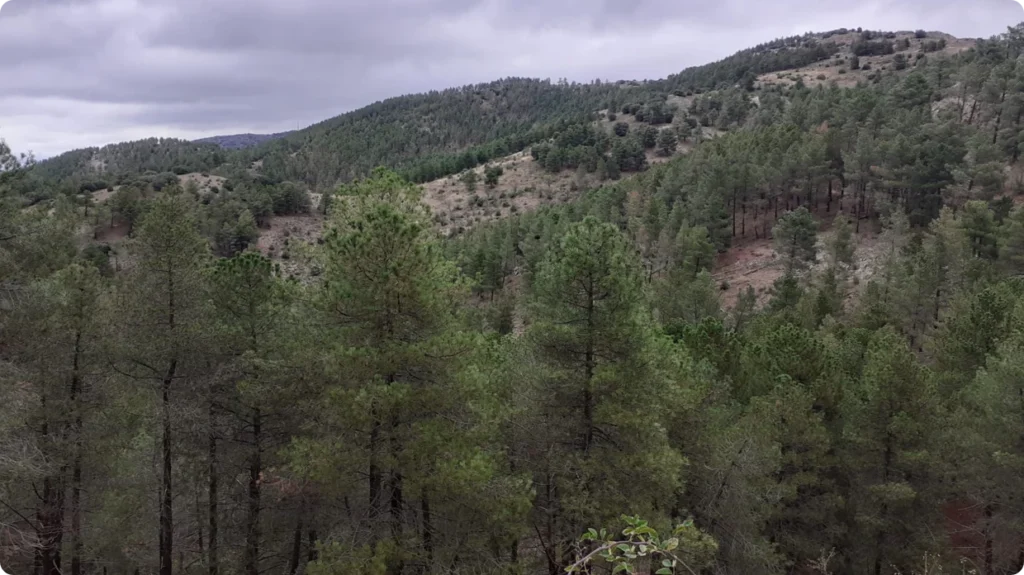 Pozorrubielos de la Mancha, Cuenca. Castilla-La Mancha