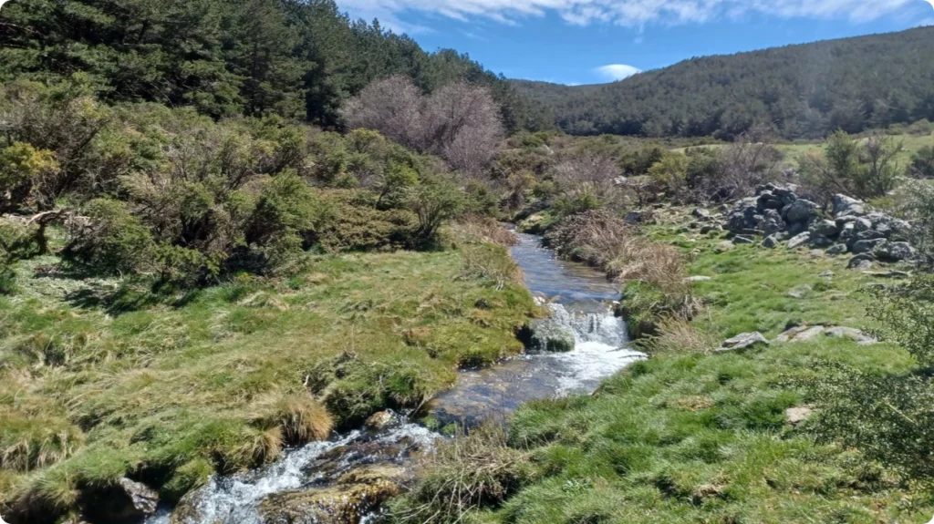 Torrecaballeros, Segovia. Castilla y León