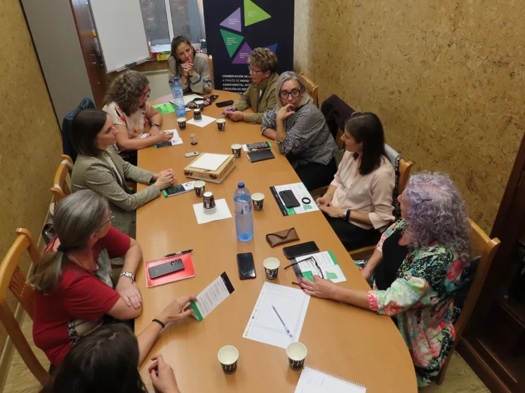 Formación desde una perspectiva de género